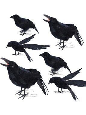 6 Pack Realistic Black Crow Halloween Decorations | Assorted Sizes, Fake Ravens